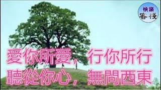 愛你所愛，行你所行，聽從你心，無問西東｜女人心語｜快樂客棧