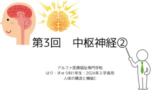 オンデマンド：03：中枢神経②