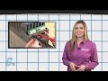 Understanding Multimeter CAT Ratings - A GalcoTV Tech Tip | Galco