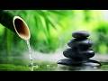 🔴 Relaxing Piano Music, Deep Sleep, Meditation Music 24/7 自然の音とともに音楽をリラックス バンブーウォーターファウンテン 【癒し音楽BGM】