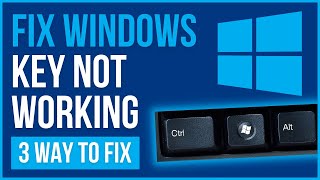 FIX WINDOWS KEY NOT WORKING WINDOWS 11 | Windows Button Not Working On Keyboard (2024)