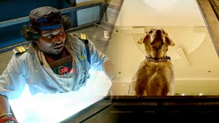 बम निकालने के चक्कर में योगी बाबू फसा लिफ्ट के अंदर फिर कैसे कुत्ते ने की मदद उसे बाहर निकालने में