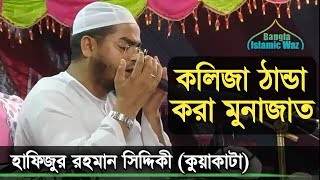 হৃদয় জুড়ানো মুনাজাত | হাফিজুর রহমান কুয়াকাটা | Hafizur Rahman | Monajat