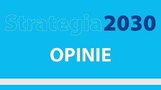 STRETEGIA 2030 UEW: OPINIE