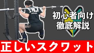 【初心者向け】正しいローバースクワットのやり方と怪我を防ぐフォーム