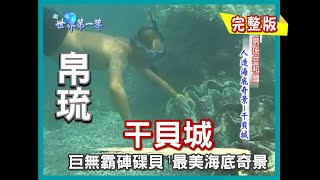 【帛琉】海底奇景 百年干貝城 （巨無霸野生硨磲貝）｜《世界第一等》166集精華版