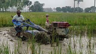 ডংফিন 12 হর্সপাওয়ার ইঞ্জিন দিয়ে যখন নিচু জমি চাষ করা হয়।