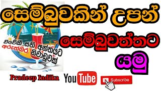 Sembuwattha Lake Mathale |Pradeep Indika | SIPLI Institute | 6 to 11 Maths Science