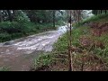 byarong creek figree nsw flood 19 03 19