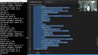 Automatic Test Case Simplification Tool