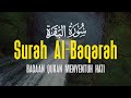 Surah Al Baqarah سورة البقرة  Dengan Suara Indah Membuat Hati Tenang - Ismail Al Qadi