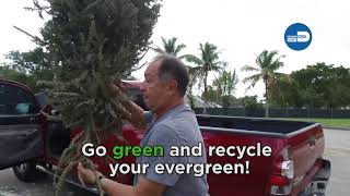 Christmas Tree Recyling