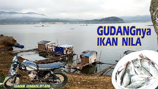 Mancing Ikan Nila di Waduk Wadaslintang Wonosobo