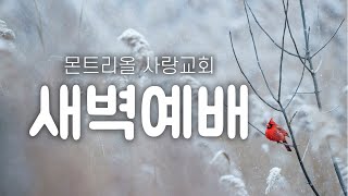 [몬트리올 사랑교회] 2025년 2월 26일 새벽예배 예레미야 48:11-25