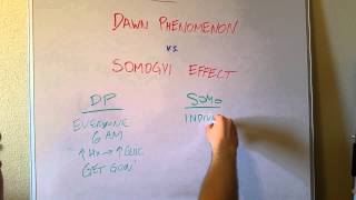 Dawn Phenomenon vs Somogyi Effect