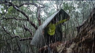 เข้าป่ากลับไปห้างเก่าโดนพายุฝนถล่มหนักมากโดยไม่ได้ตั้งตัว ห้างถล่มเกือบตกต้นไม้ อันตรายสุดๆ