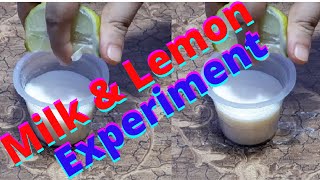 Milk \u0026 Lemon experiment #magic of science #Lemon experiment #Milk experiment