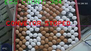 Test of egg detection with opencv