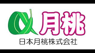 沖縄産の月桃（げっとう）をお届けします【日本月桃＆月桃農園】 「セラピーワールド東京2023」出展社紹介