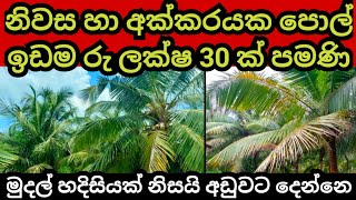 නිවස හා අක්කරයක පොල් ඉඩම ලක්ෂ 30 කට | Coconut land | Pol idam | Aduwata idam | Aduwata niwasa