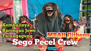 Sego Pecel Crew ~ Kembalinya Barongan Jowonan MBAH JLITENG || Live Mulyosari Pagerwojo Tulungagung