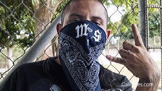 5 Biggest Mexican Gangs In Los Angeles