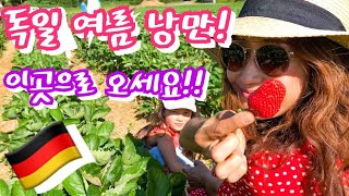 [독일🇩🇪]독일의 꽃 여름의 낭만을 느끼고 싶으신 분들은 여기로 오세요!🍓