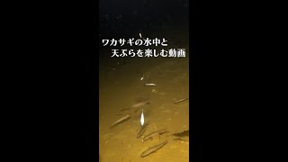 (釣り)ワカサギの水中と天ぷらを楽しむ動画 #shorts