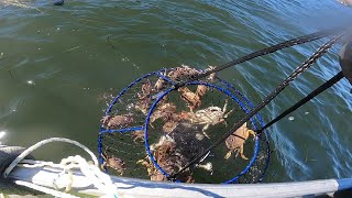 Dungeness Crab Season Opener 2024 (Tomales Bay)