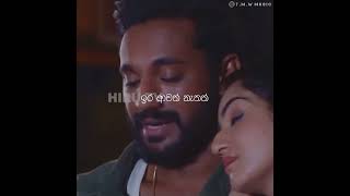 Mage Hithe Ginna (මගේ හිතේ ගින්න) - Janith Iddamalgoda | Paata Kurullo Song - (Status Video)