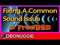 FreeBSD Sound Problem - Possible Fix?