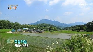 [우문현답] 65화. 이장님의 사명감은 뭡니까? - 경남 함양군 유림면 회동마을 (2016.07.06,수)