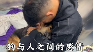 花几万块钱救一条狗，很多人不理解，这就是人与狗之间的感情     Dog  rescu in China   2023 10 19