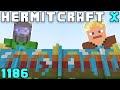 How I'm Feeling | Hermitcraft X 1186