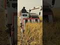 A view of Japanese-style rice harvesting machines #shorts  #satisfying #trending