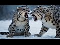 dinosaur vs snow leopard epic battle in the ice forest viralvideo arcticanimal marinelife