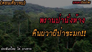 พรานป่านั่ง..ห้างคืนผวาผีป่าชะมก!! (ตอนเดียวจบ) l แดนดง นิยมไพร