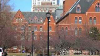 University Plaza Apartments in Saint Louis, MO - ForRent.com