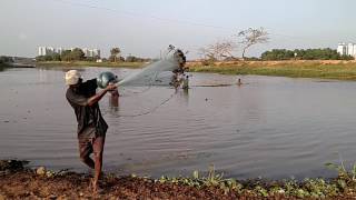 Amazing Vala Veesal slow motion, Near Shobha city സ്ലോ മോഷൻ വല വീശൽ,  രസകരമായ  കാഴ്ച