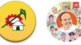 కృష్ణ జిల్లాలో మెజారిటీ చాటేదెవరు? | Krishna District Survey | TDP | YSRCP | Janasena | YOYO TV