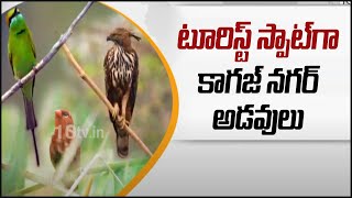 టూరిస్ట్ స్పాట్‌గా కాగజ్ నగర్ అడవులు | Beauty of Kagaznagar Forest | 10TV News