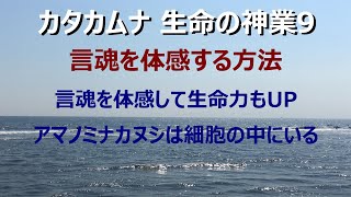 【カタカムナ 生命の神業9 言魂を体感する方法】言魂は体感できるんです。実際に言魂を自分の体で感じて受け取る方法をシェアします yukari radio35