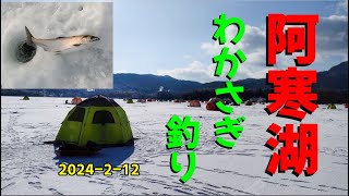 阿寒湖　わかさぎ釣り　2024ー2－12　大型サクラは、まだ釣れる