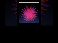 mind blowing animation using python turtle graphics#coding #python
