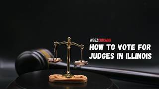 How to vote for judges in Illinois | Reset with Sasha-Ann Simons