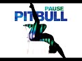 pitbull pause audio