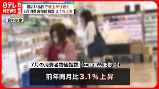 【7月の消費者物価指数】前年比3.1％上昇　食料など幅広い品目で値上がり続く