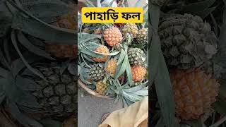 এক জোরা পাহাড়ি আনারস মাত্র ১৫ টাকা, বড় গুলো ২০ টাকা। মহালছড়ি, খাগড়াছড়ি।