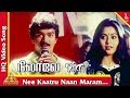 Nee Kaatru Naan Maram Song | Nilaave Vaa Tamil Movie Songs | Vijay| Suvalakshmi |நீ காற்று நான் மரம்