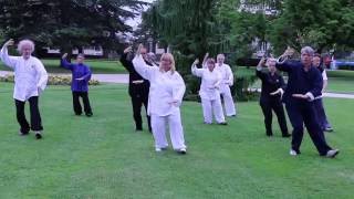 tortue de wudang ( les 5 animaux du Wudang qi gong)